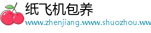 纸飞机包养